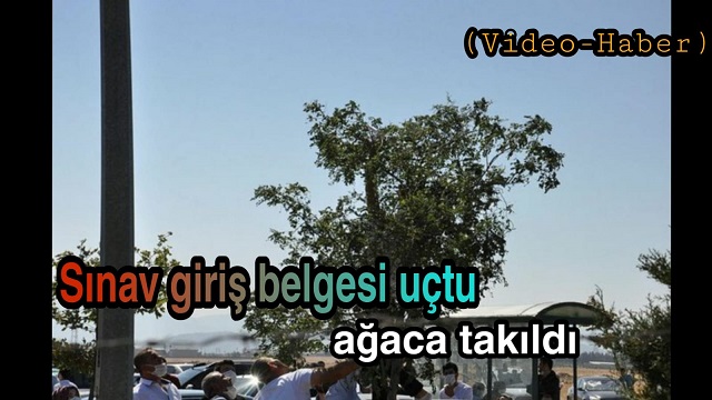 Sınav giriş belgesi uçtu, ağaca takıldı (Video Haber)