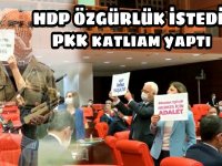 HDP özgürlük istedi PKK katliam yaptı