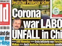 Alman fizikçi: Koronavirüsün laboratuvardan geldiğinde yüzde 99,9 eminim