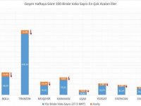 Vaka sayısı artan ve azalan iller hangileri?